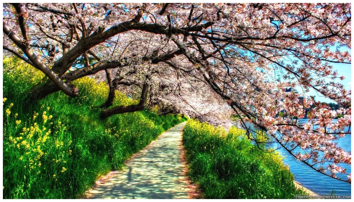 Beautiful spring s pixelstalk