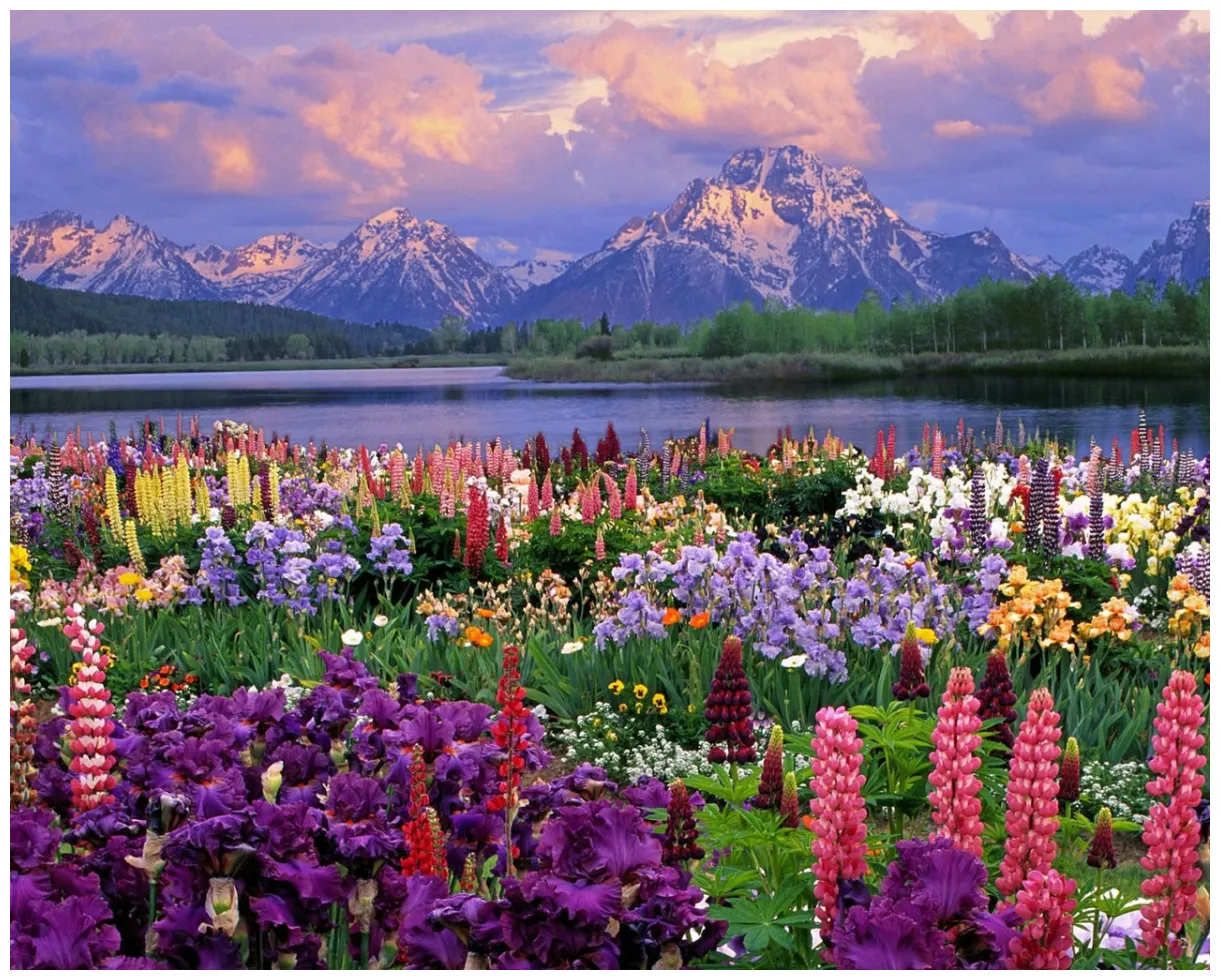 Zachi spring mountain landscape