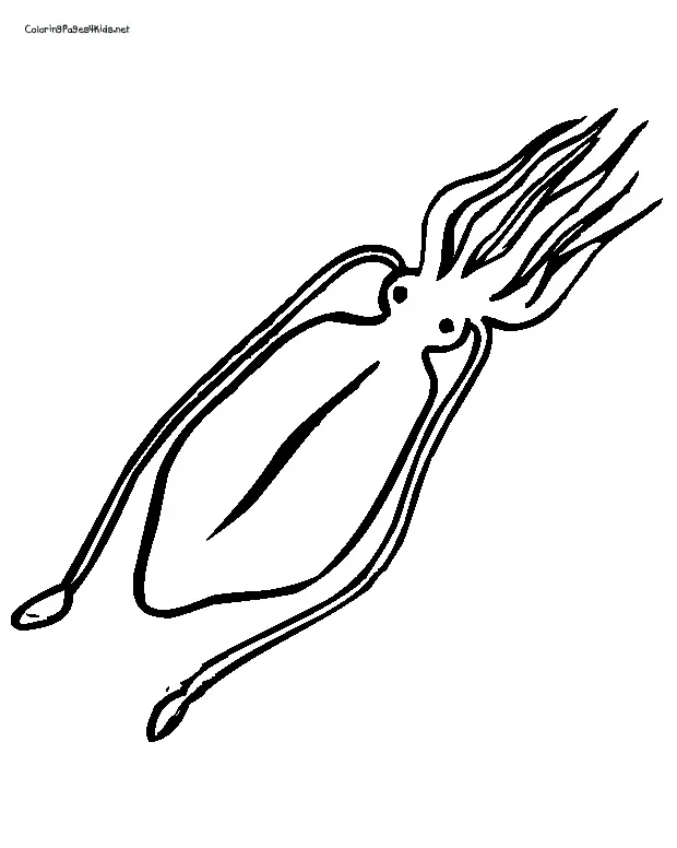 Clipart panda free clipart s