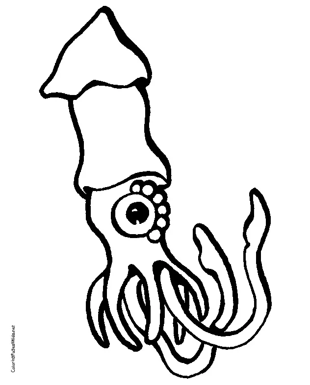 Clipart panda free clipart s