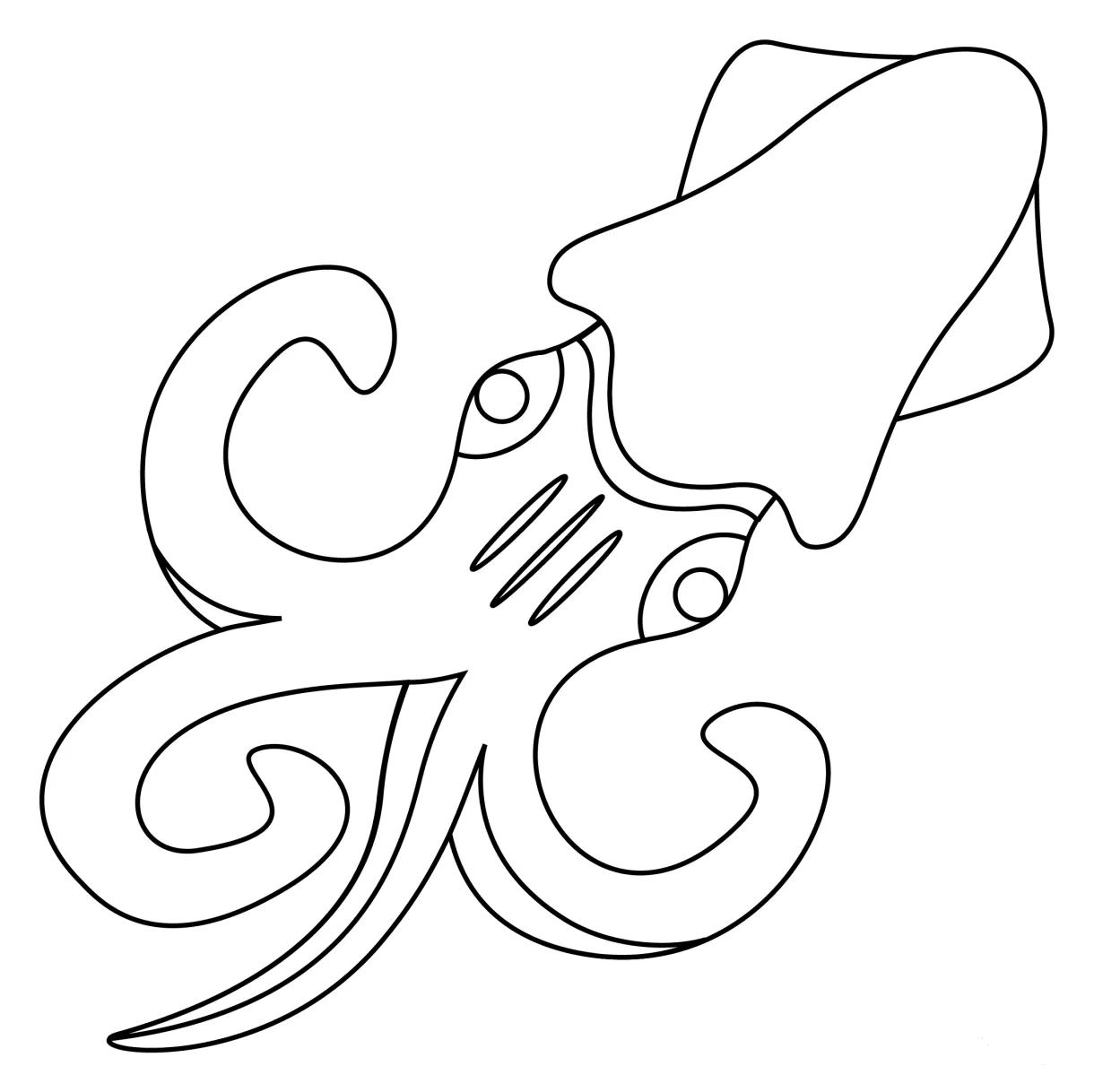 Squid coloring page - ColouringPages