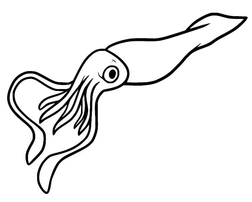 Squid Images coloring page - Download, Print or Color Online for Free