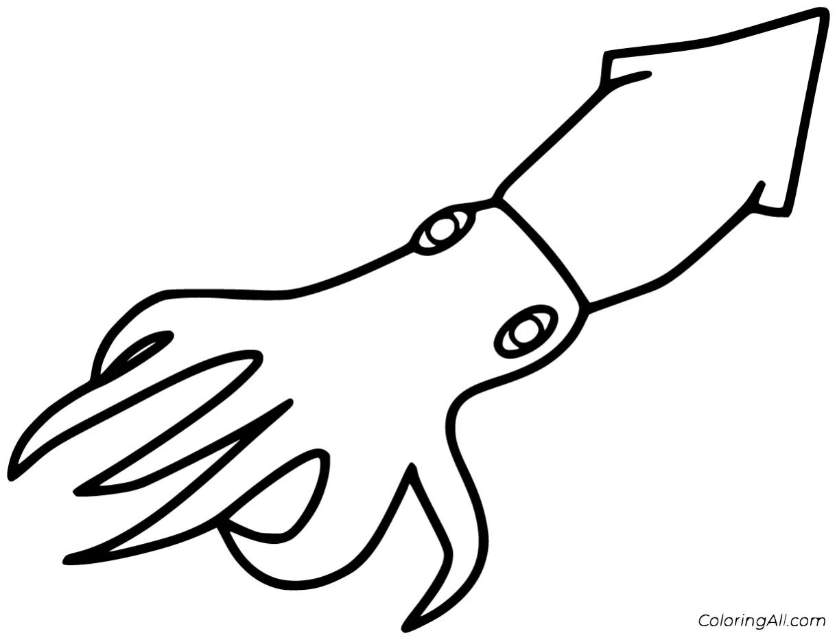 Squid Coloring Pages (26 Free Printables) - ColoringAll