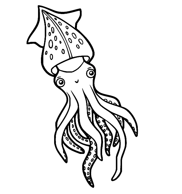 48 Squid Coloring Pages - ColoringPagesOnly.com