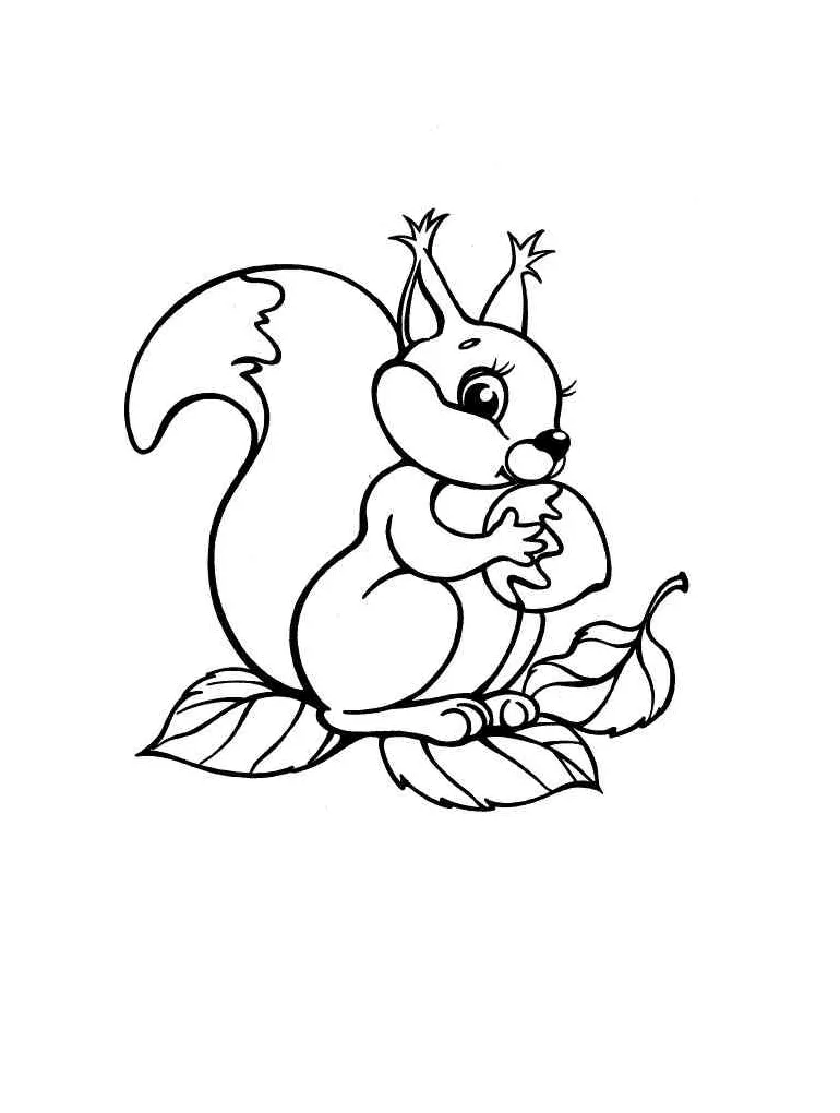 Squirrel and nut coloring page