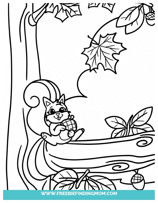 Squirrel With a Nut Coloring Page Download Printable PDF | Templateroller