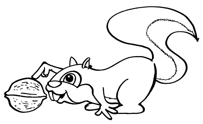 Coloring Squirrel with a nut picture
