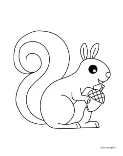 Squirrel with nut Coloring Pages ᗎ Printable Painting Template