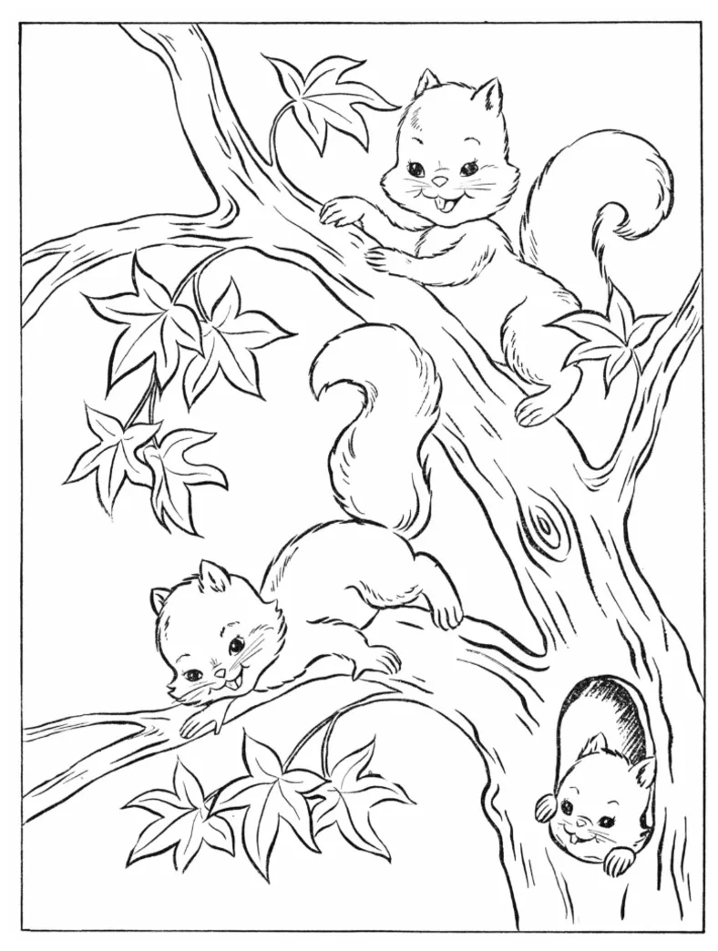 Squirrels coloring page tree graphicsfairy pdf