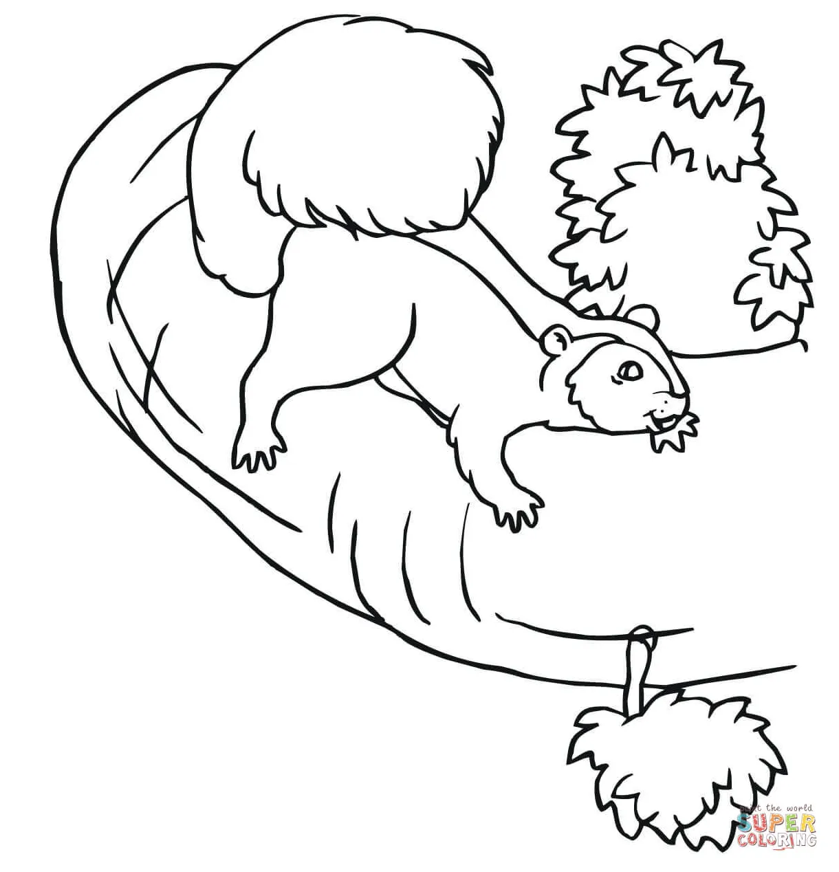 Squirrel on a tree coloring page free printable coloring pages