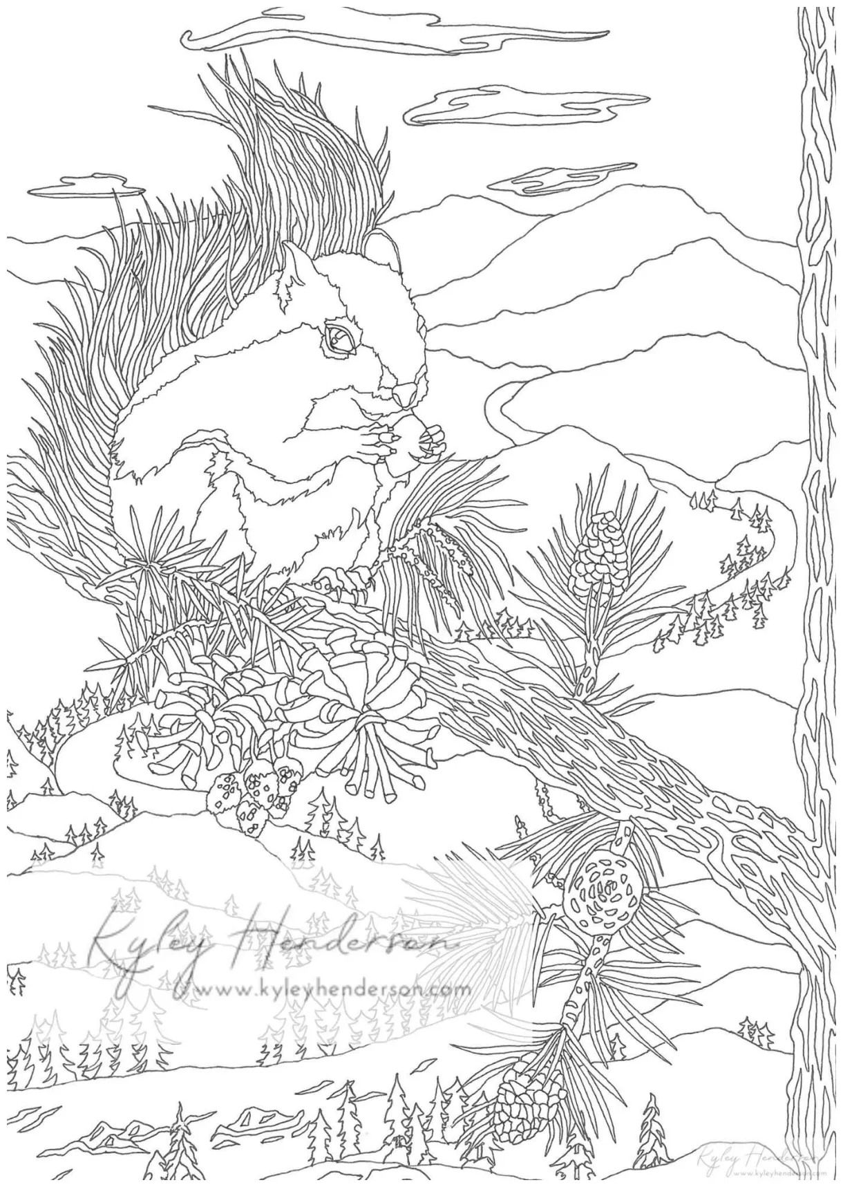 Tree squirrel adult coloring pages. squirrel coloring page. digital printable coloring page
