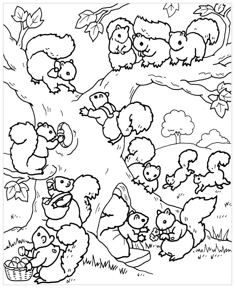Baby squirrel in a tree coloring page coloringbay