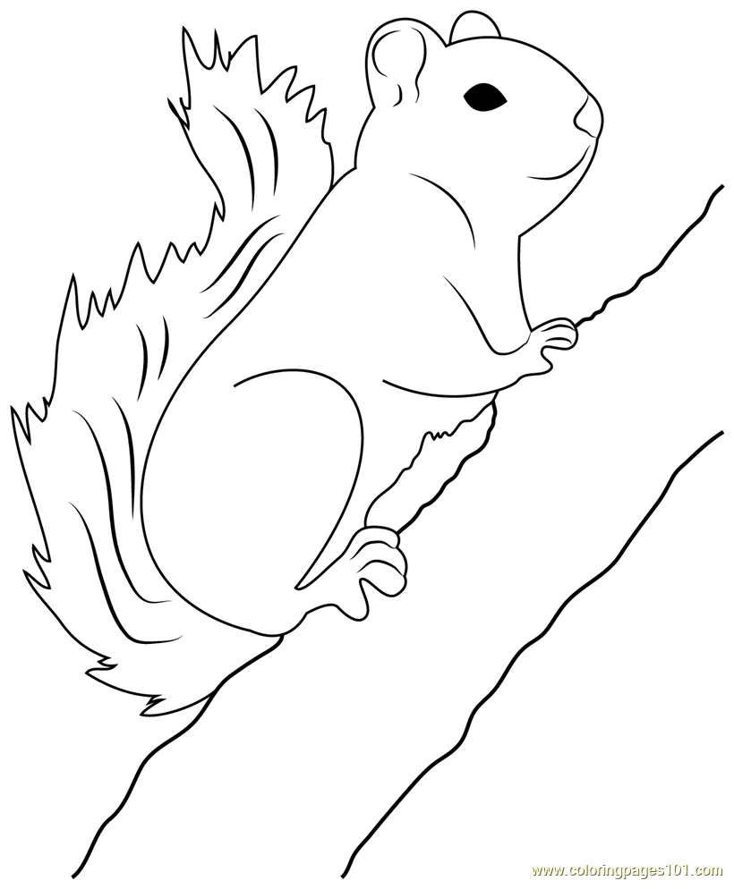 Red for kids free squirrel printable