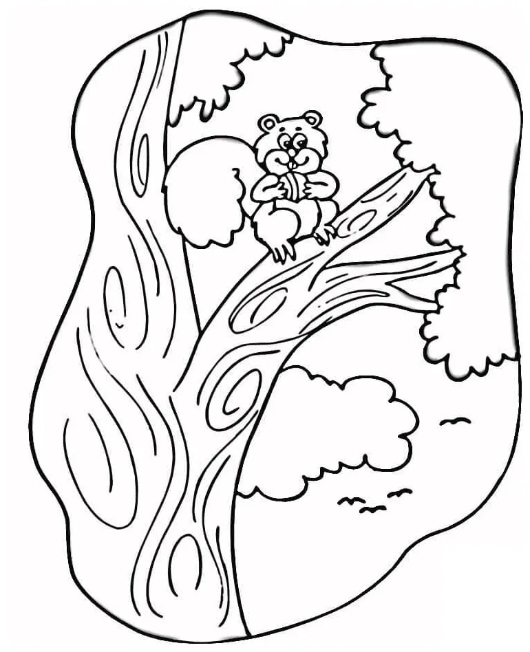 A squirrel in a tree coloring page download, print or color online