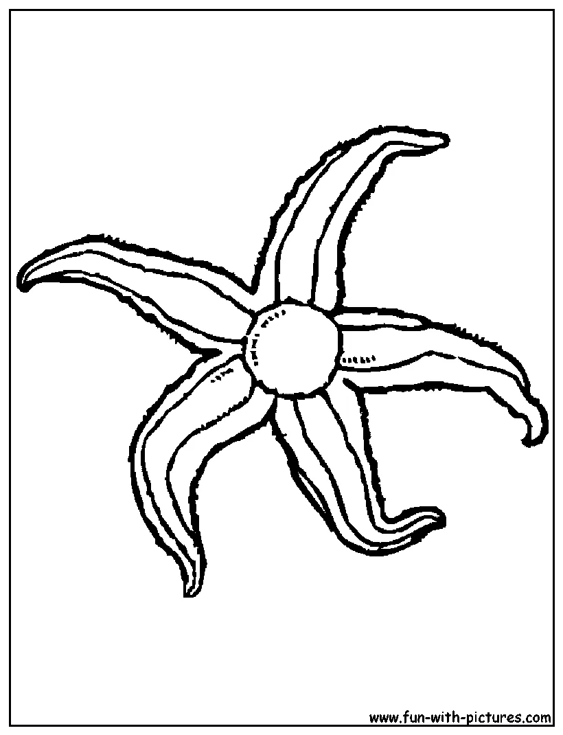 Clipart panda free clipart s printable coloring page