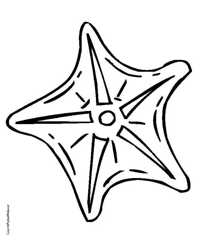 Clipart panda free clipart s