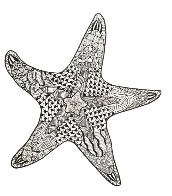 Starfish sheet coloring page