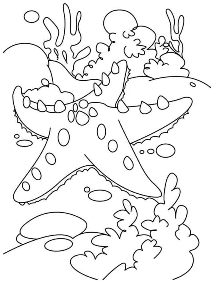 Starfish coloring pages - ColoringLib