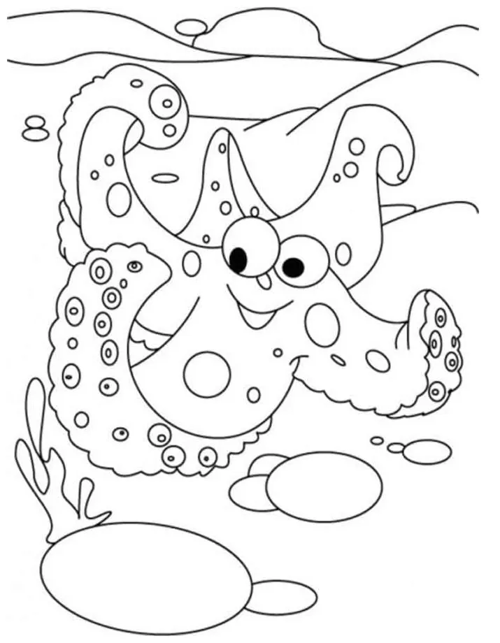 Starfish coloring pages - ColoringLib