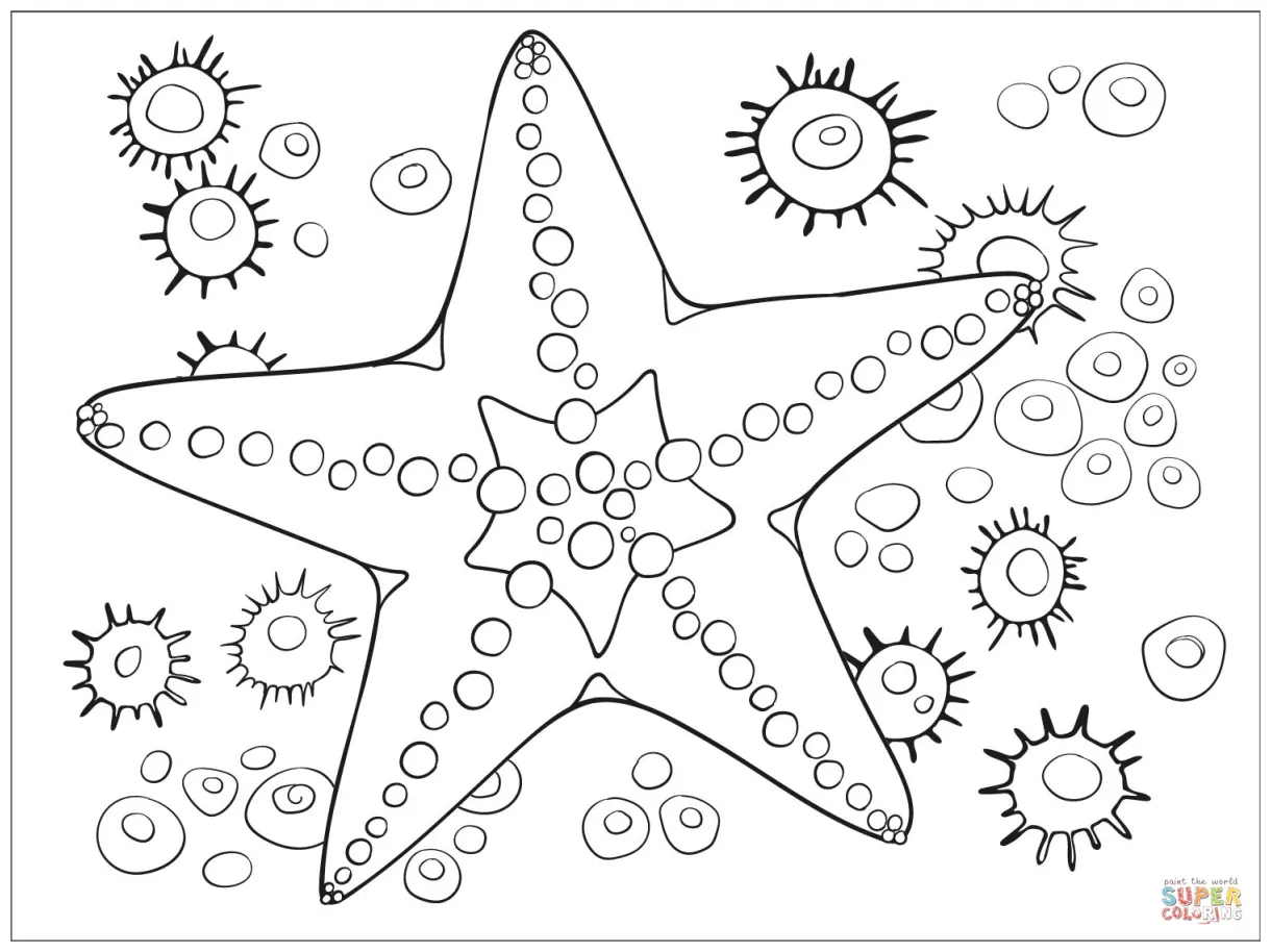 Starfish coloring page | Free Printable Coloring Pages