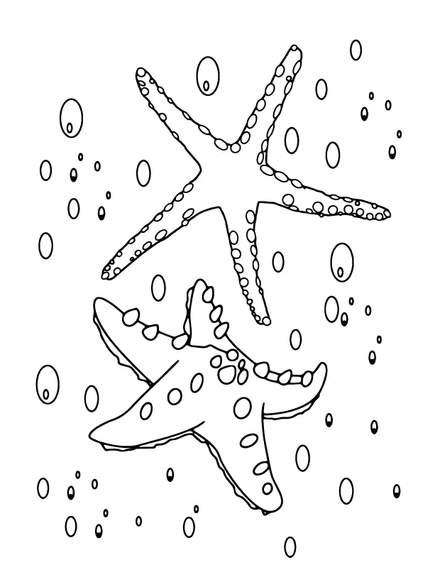 Starfish Coloring Page