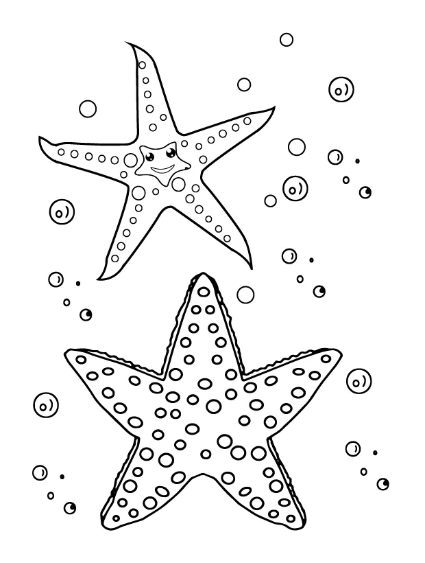 Starfish Coloring Page