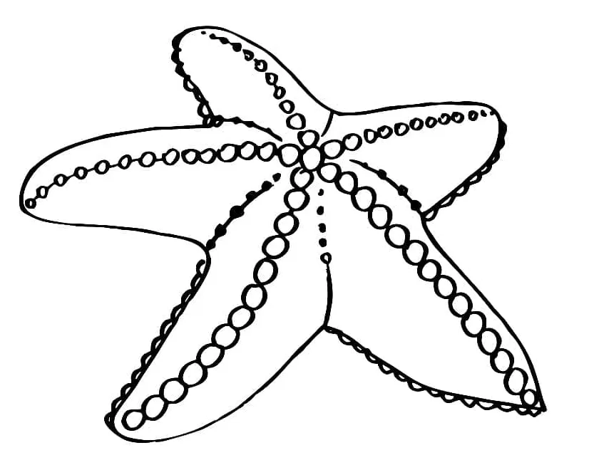 Free starfish printable coloring page download, print or color online