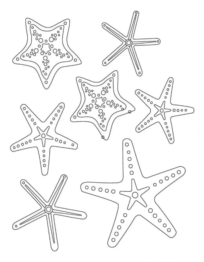 Collection of starfish coloring page download, print or color online