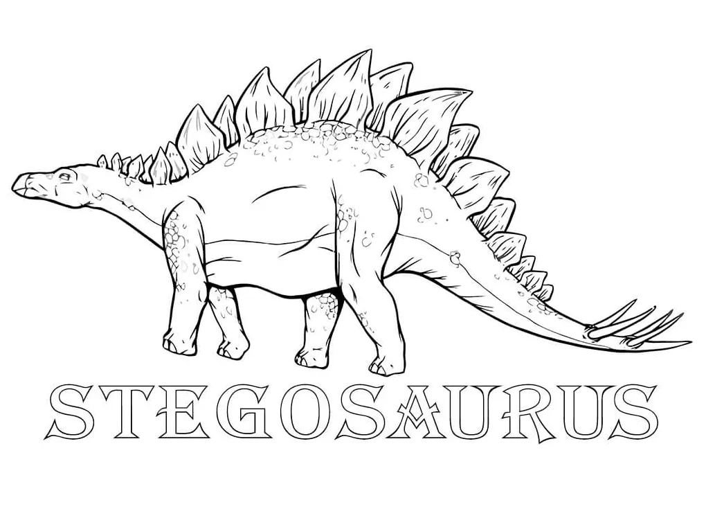 Stegosaurus 6 coloring page free printable coloring pages for kids