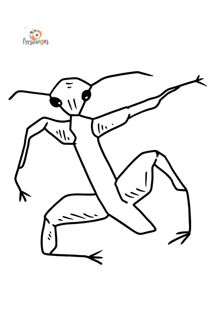 Insect coloring pages, stick insect