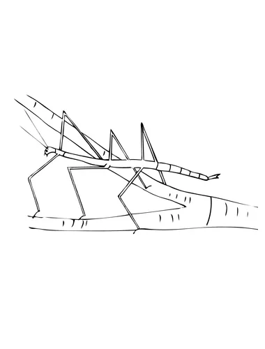 Walking free printable coloring pages