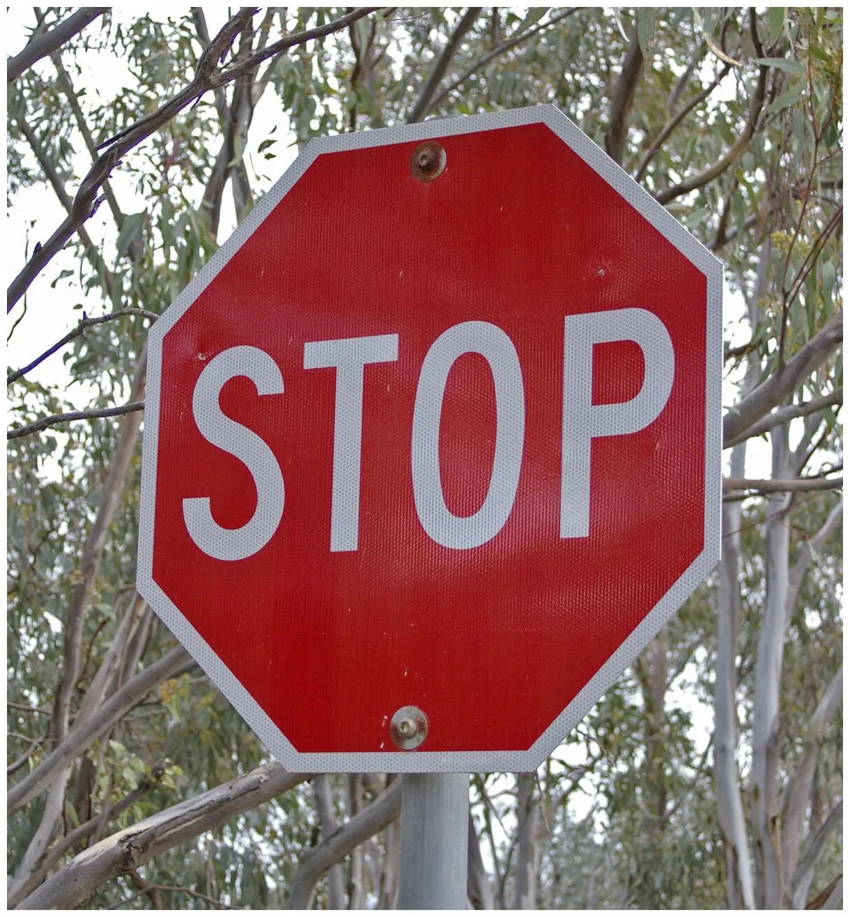Stop (verb) - Teflpedia