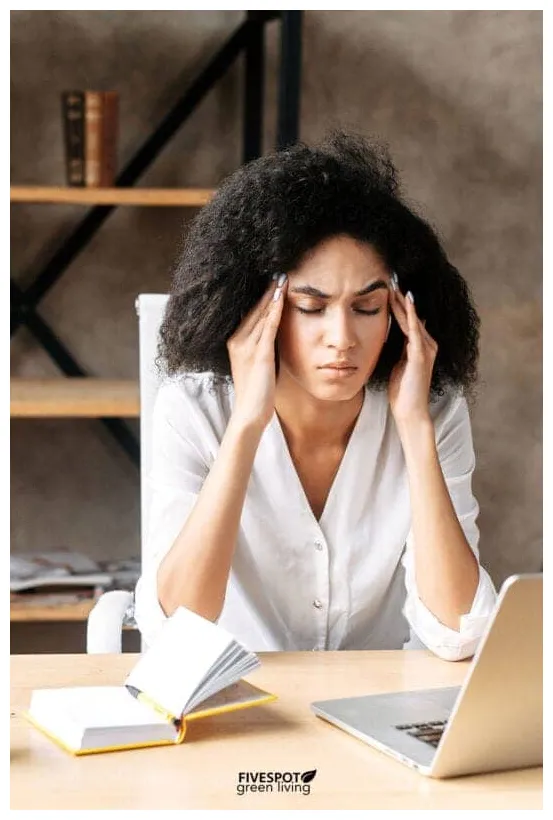 The best magnesium foods to eat five spot green living