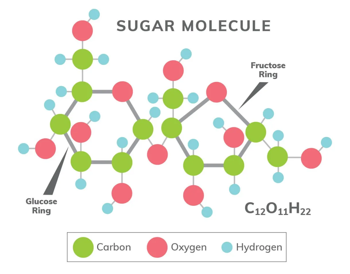 What is sugar? what is sucrose? the sugar association