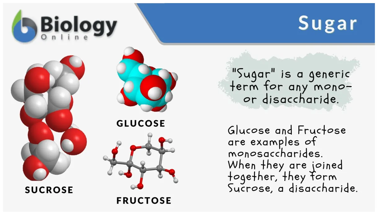 Sugar definition and examples biology online dictionary