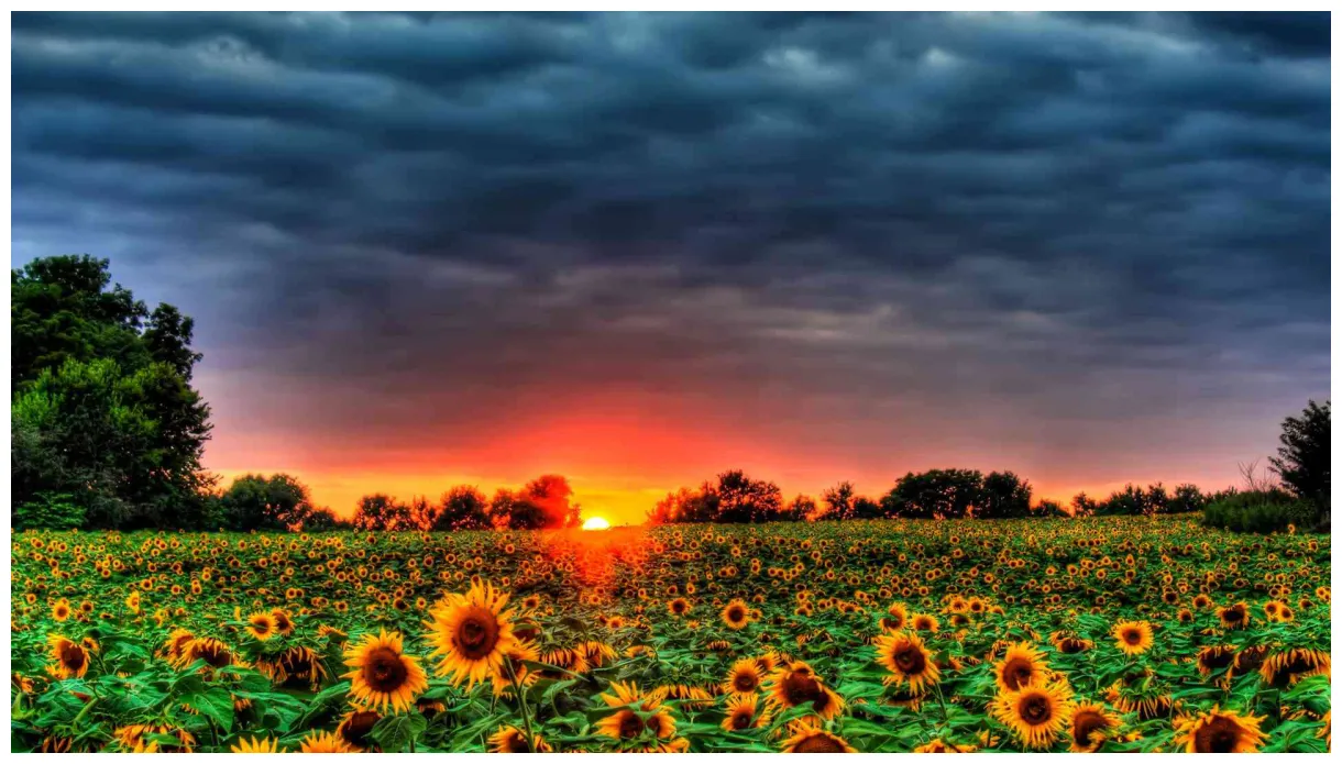 Summer landscape s top free summer landscape s