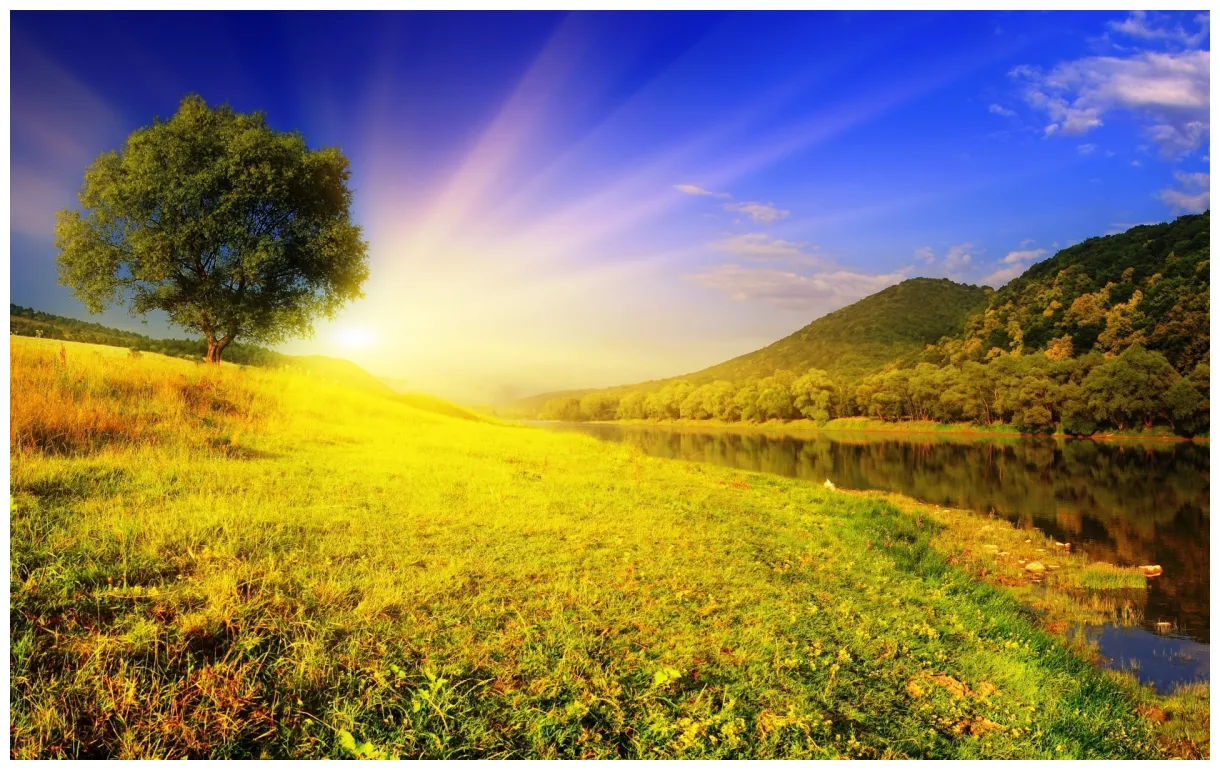 🔥 [50+] summer scenery s safari