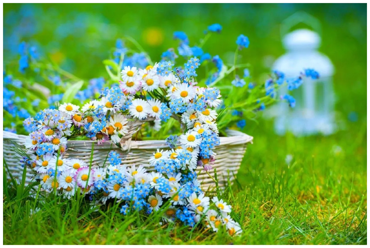 Summer flower s top free summer flower s