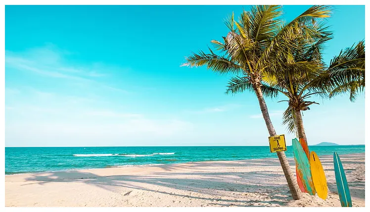 Summer beach scenery printable coloring page