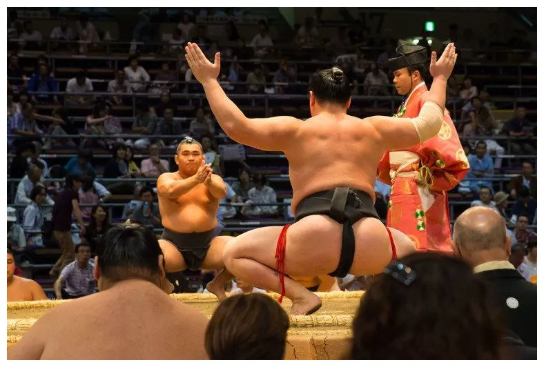 How to watch sumo wrestling in japan earth trekkers