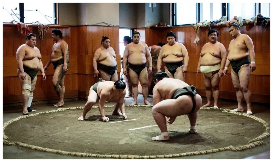 Sumo, deporte de lucha japonés kimono