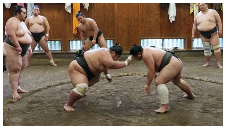 東京【玉ノ井部屋】相撲 稽古見学で熱気を感じた japan course （日本語）