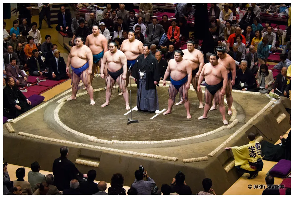 Sumo wrestling travel graphy and stock s by manchester