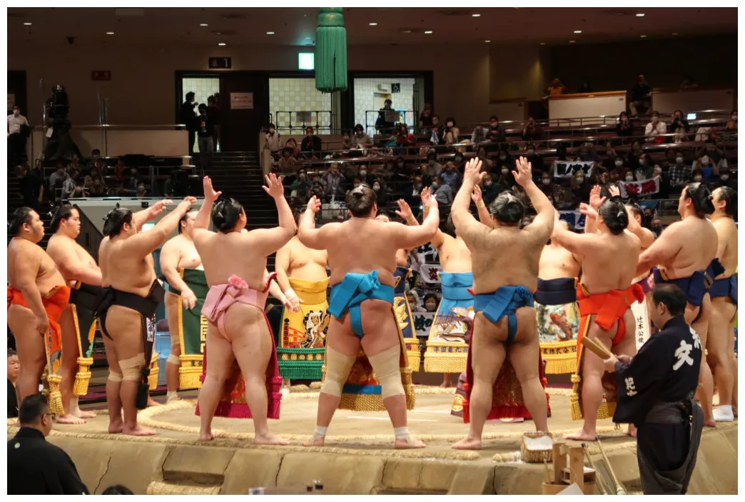 【観戦記】2020年11月19日 木 大相撲11月場所12日目 くるみっこ