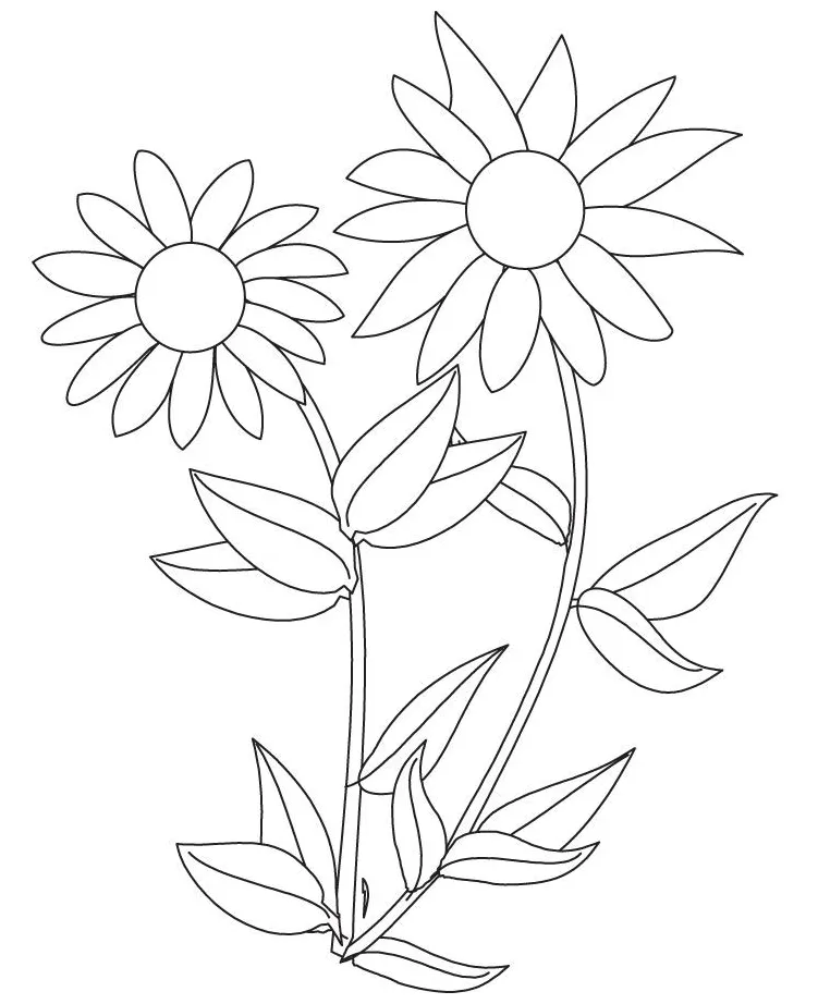 Unleash your creativity with nature-inspired