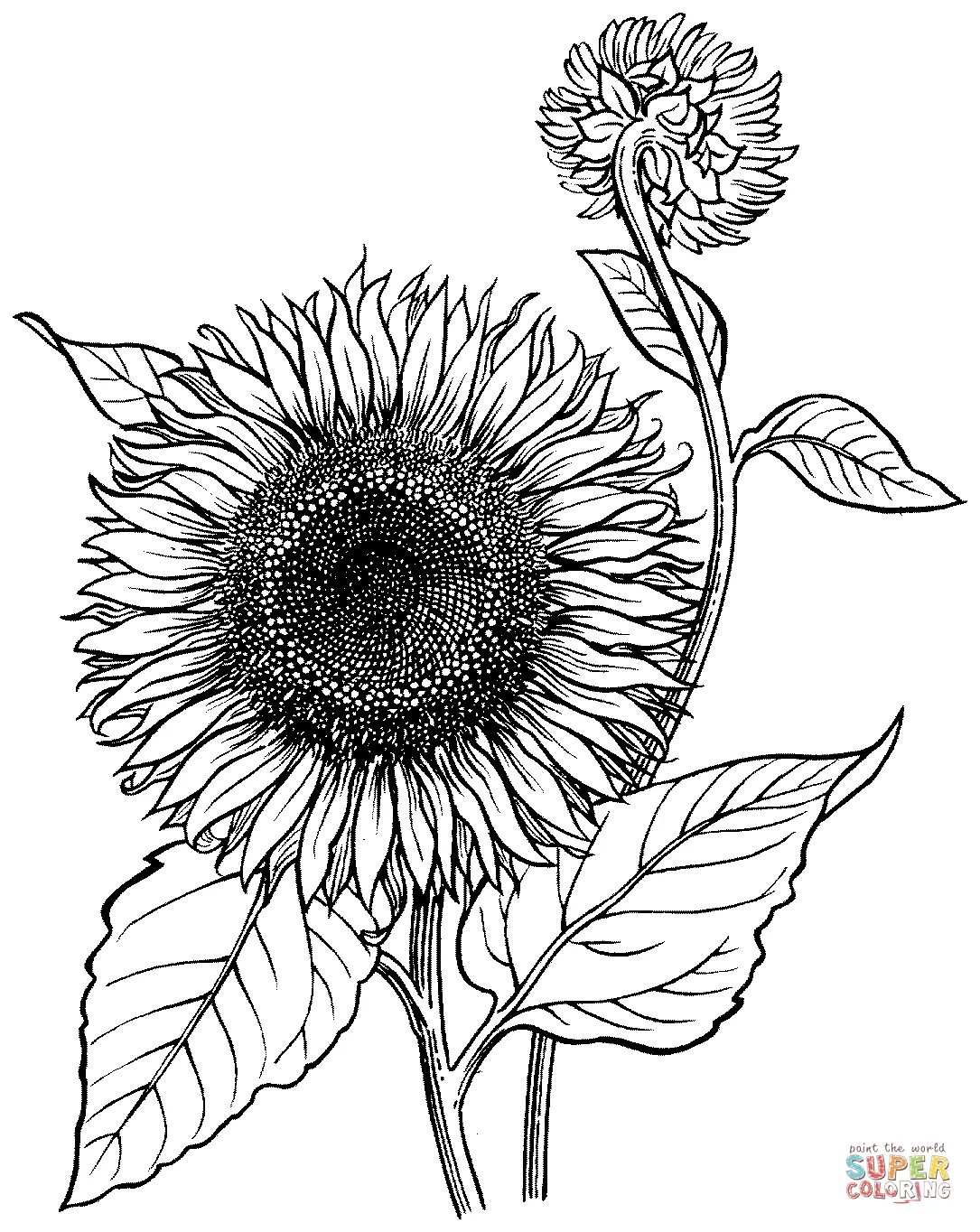 Unleash your creativity with nature-inspired