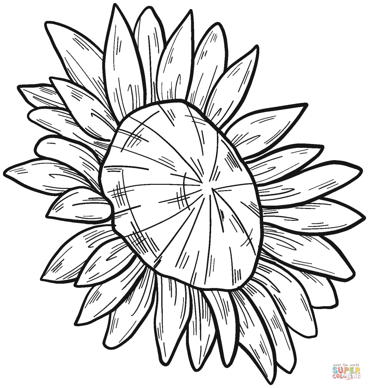 Sunflower coloring page | Free Printable Coloring Pages