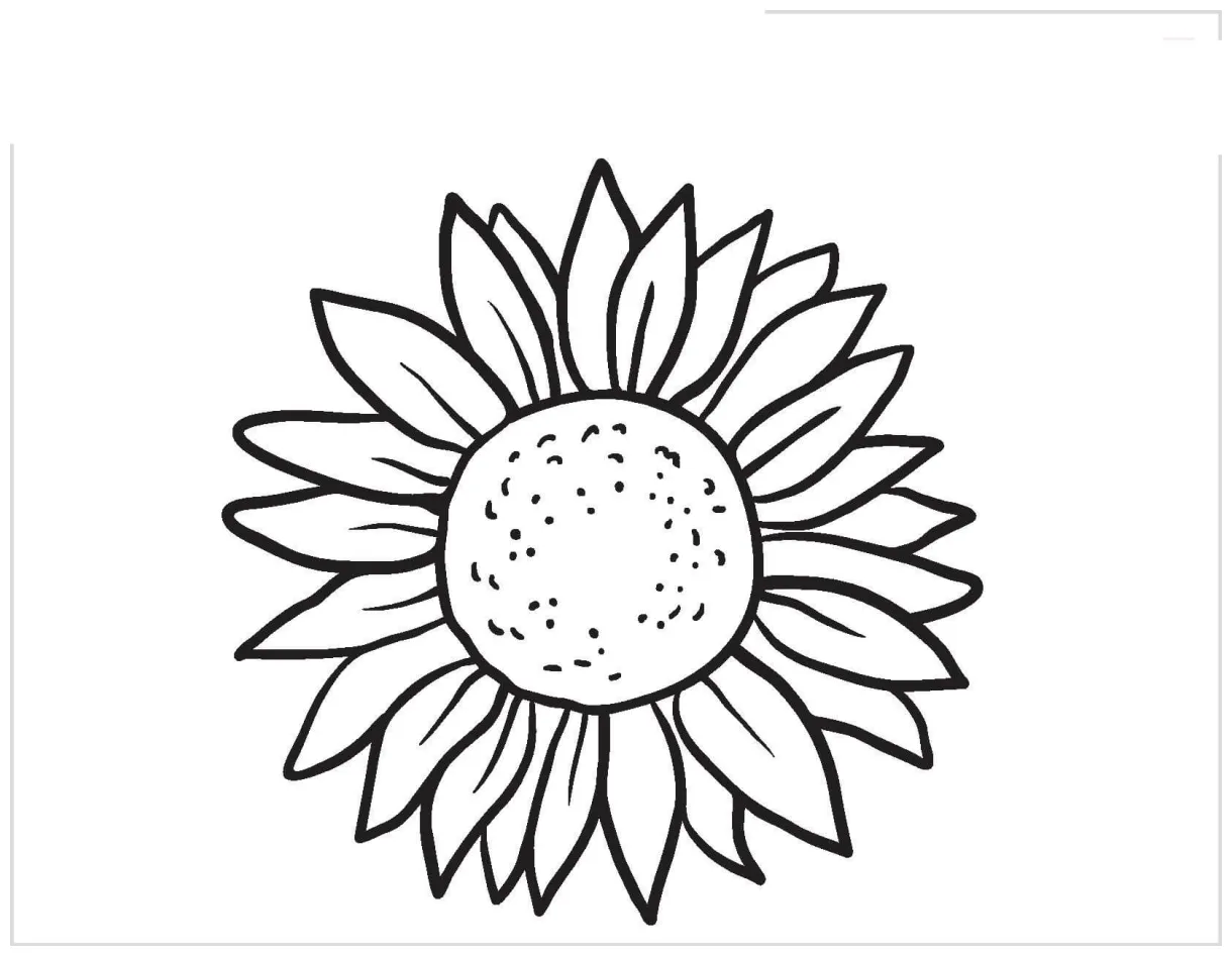 Sunflower printable coloring page download, print or color online for