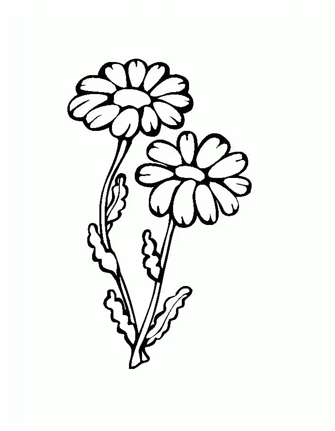 Sunflower Coloring Page - Unleash Your Creativity with Nature-Inspired