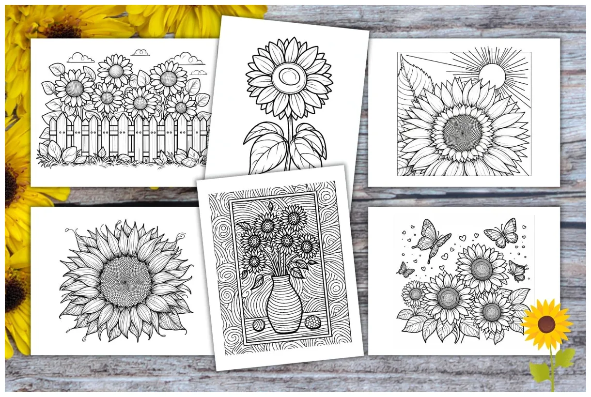 Free Printable Sunflower Coloring Pages